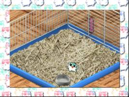 Hamster Monogatari 64 Screenshot 1